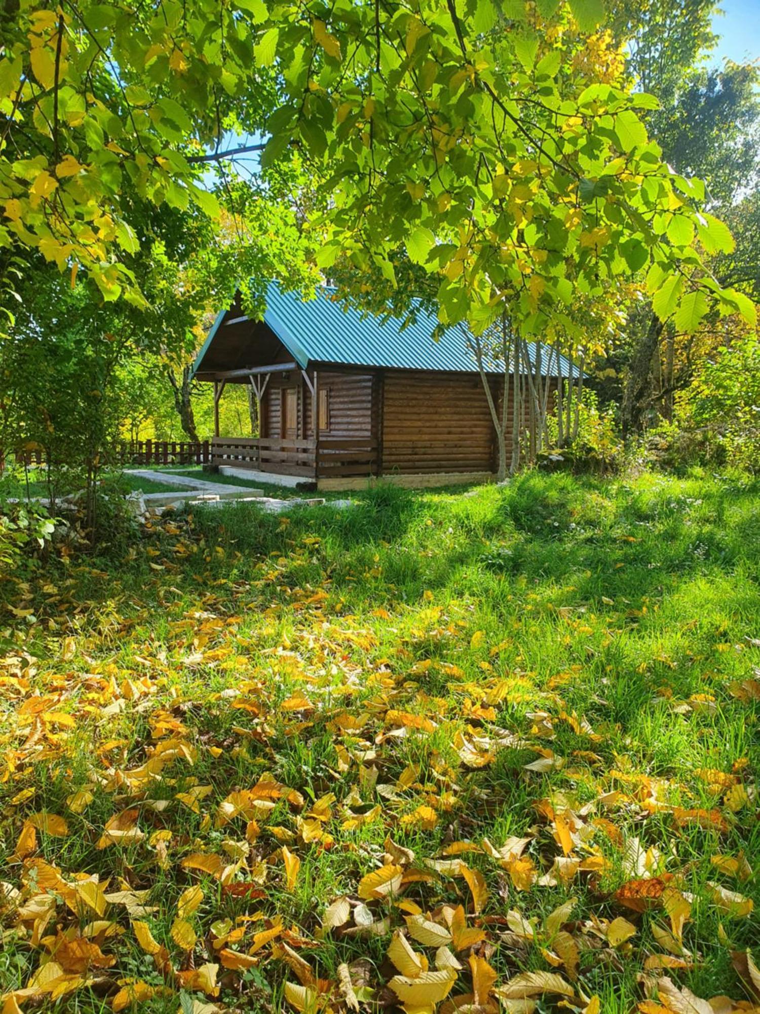 Cabin House Dubovik Cetinje Exteriér fotografie