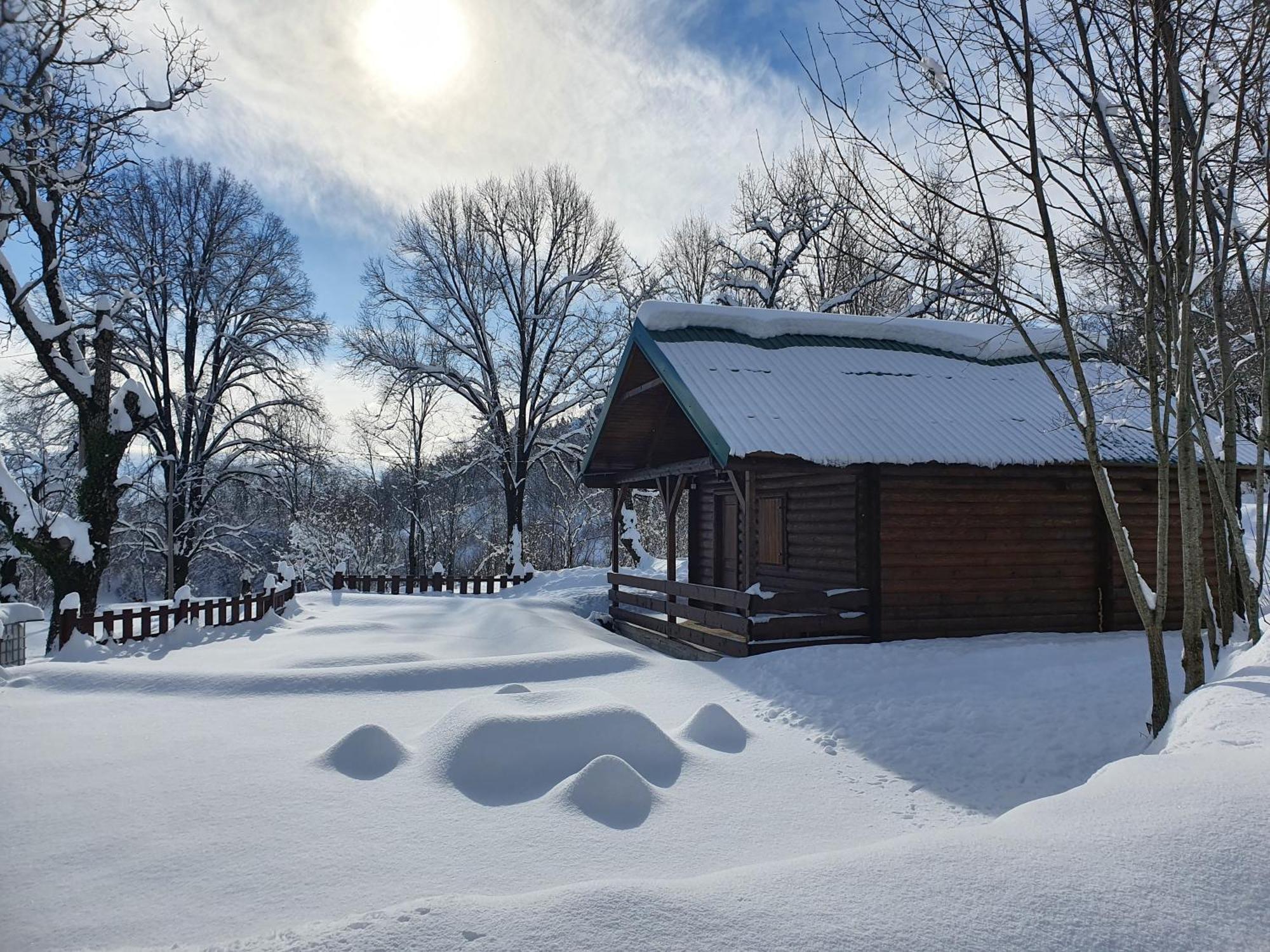 Cabin House Dubovik Cetinje Exteriér fotografie